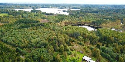 Продается лесное хозяйство в Юва, Финляндия Недвижимость Восточная Финляндия (Финляндия)  Имеется дополнительное разрешение на строительство до 5-10 кают