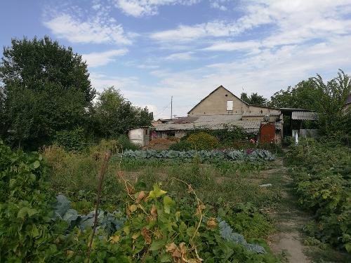 Срочно  Продаю дом за 2200000 сом Недвижимость Bishkek Shaary (Кыргызстан)  Перед домом сад с цветами, виноградом и плодовыми деревьями