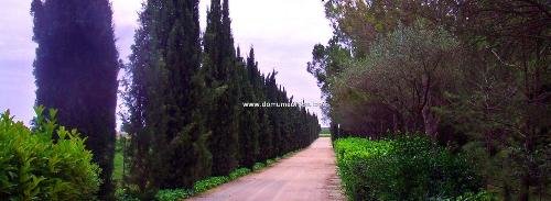 Деревенская усадьба в Поркересе на продажу  Недвижимость Жирона (Испания)  Расположен в 5 м