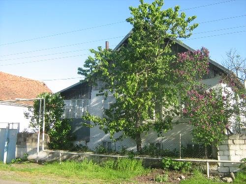 Продаю дом в селе ивановка Недвижимость Ismayilli Rayonu (Азербайджан)  На участке имеется: русская баня, а также садовые деревья: слива, яблоня, груша, грецкие орехи